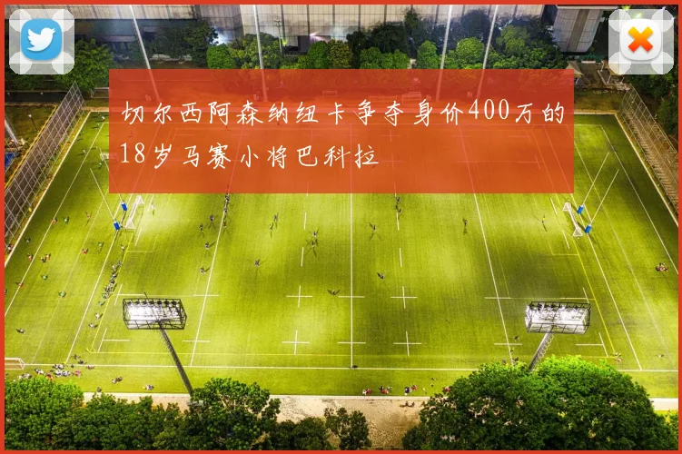 切尔西阿森纳纽卡争夺身价400万的18岁马赛小将巴科拉