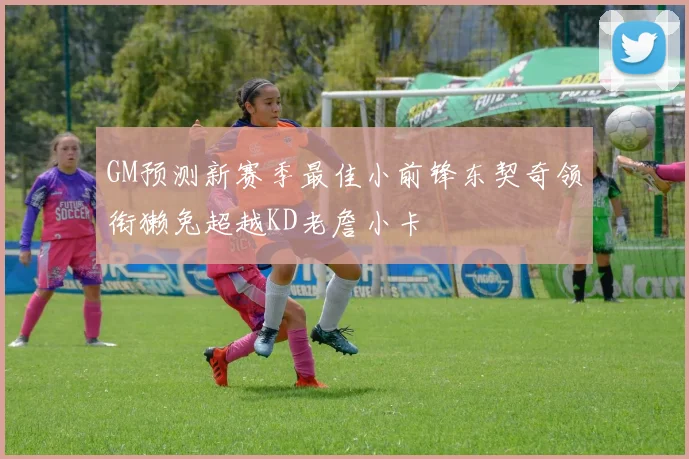 GM预测新赛季最佳小前锋东契奇领衔獭兔超越KD老詹小卡