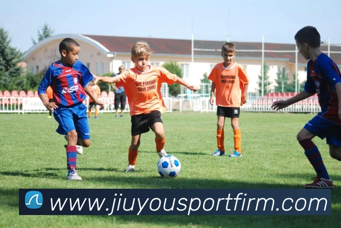 九游体育APP 封面图